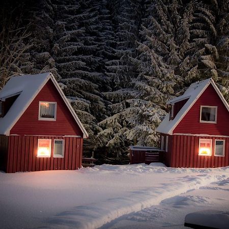 Erzgebirgsidyll Villa Breitenbrunn  Dış mekan fotoğraf